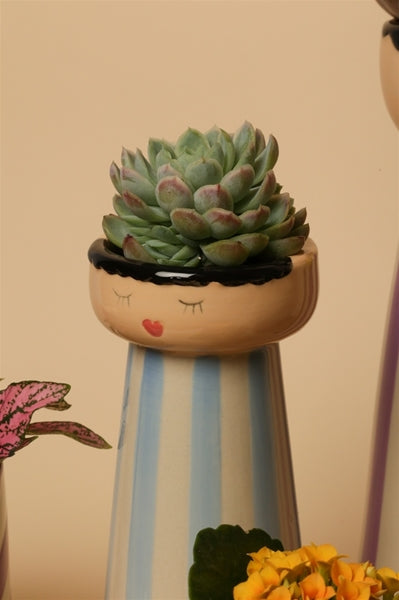 VASE MRS&MISS ROT/HELLBLAU 19cm