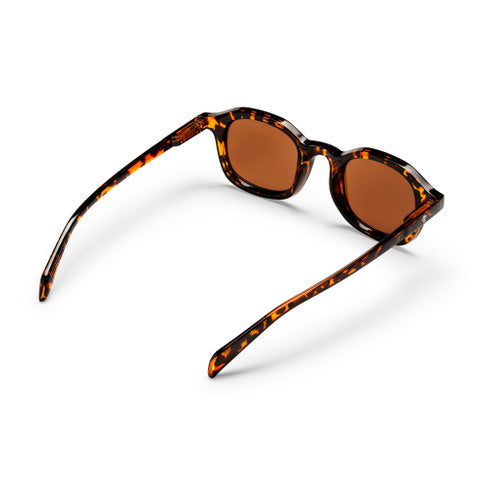 SONNENBRILLE CHPO ANKI BRAUN LEO