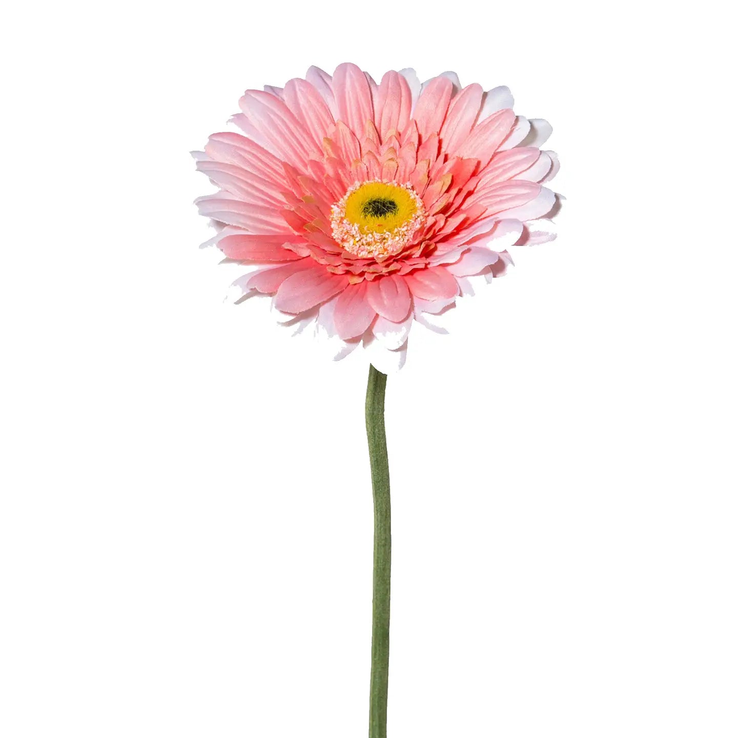 GERBERA 50cm ROSA