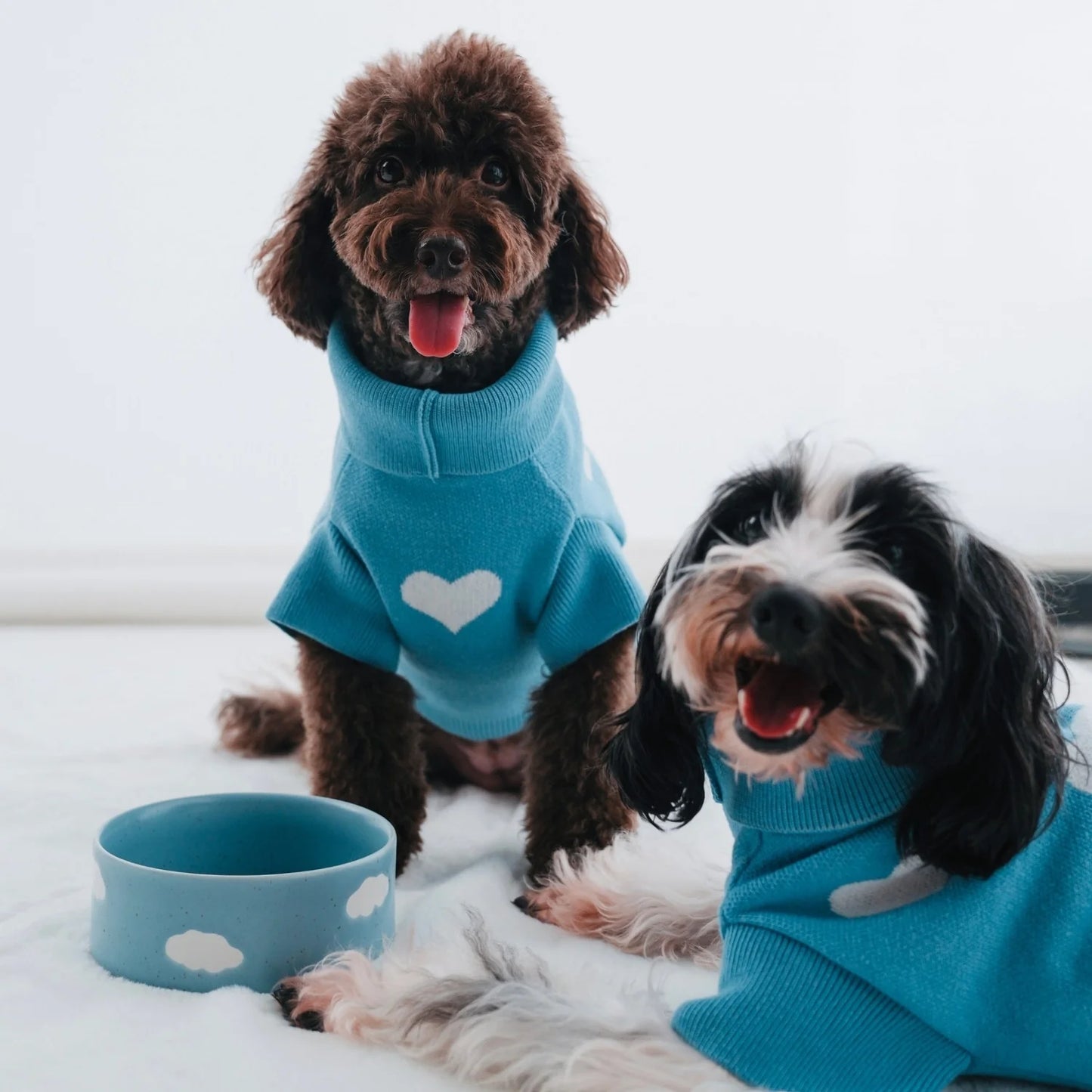 HUNDE NAPF CLOUD BLAU