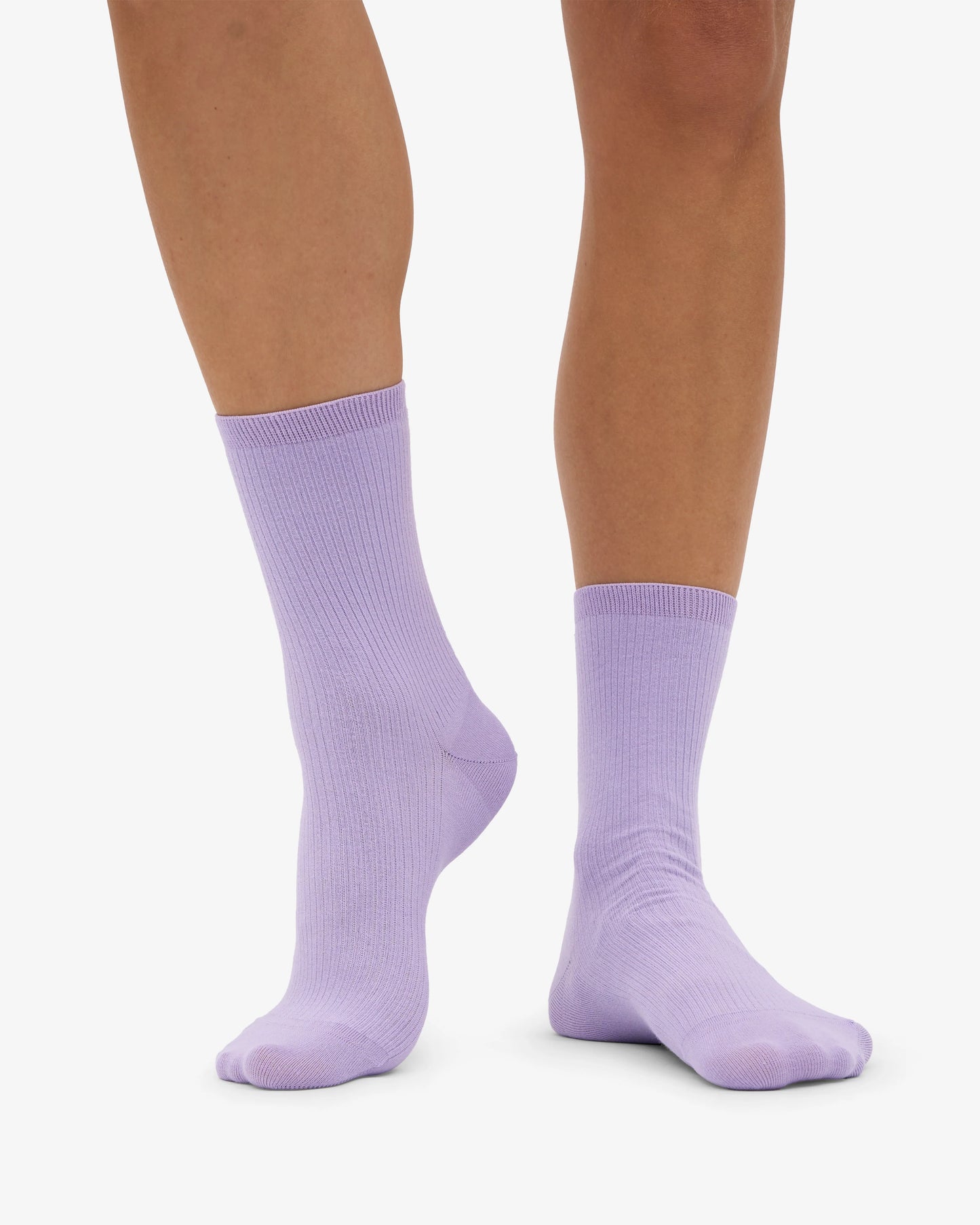 COLORFUL STANDARD SOCKEN SOFT LAVENDER