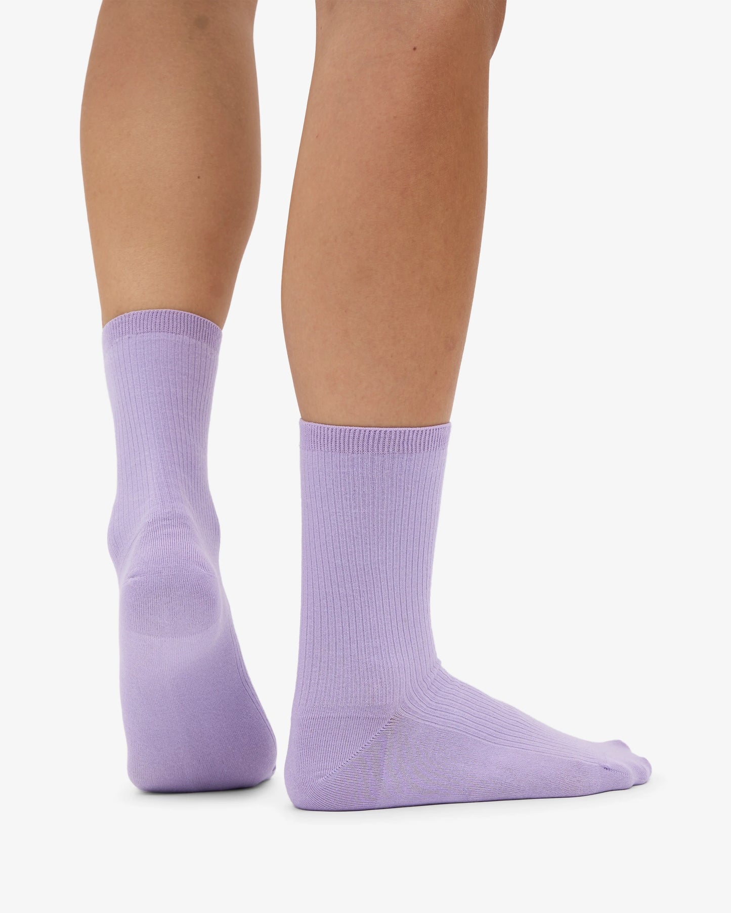 COLORFUL STANDARD SOCKEN SOFT LAVENDER