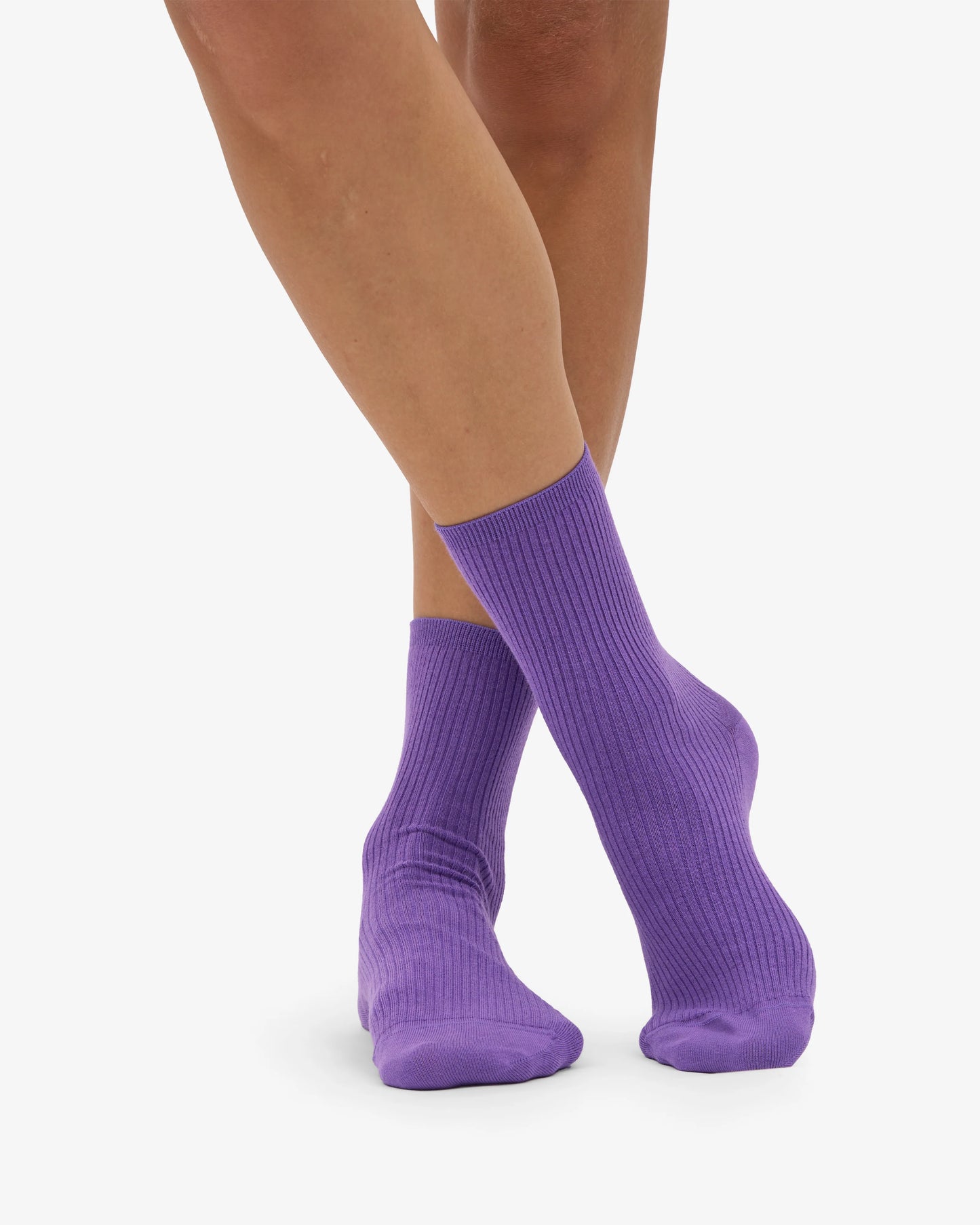 COLORFUL STANDARD SOCKEN ULTRA VIOLET