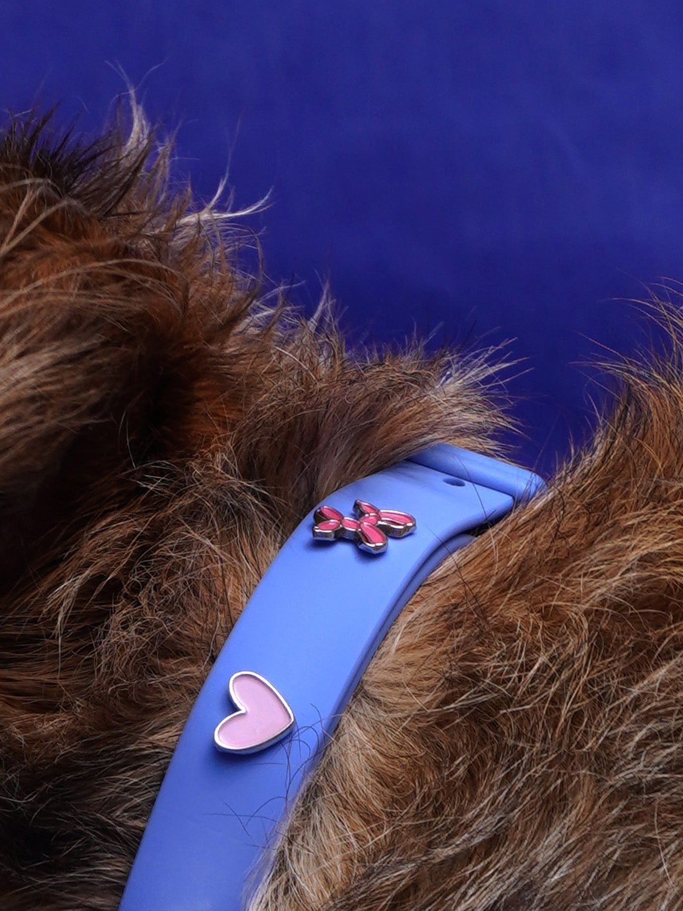 HUNDEHALSBAND ANHÄNGER BALLON HUND