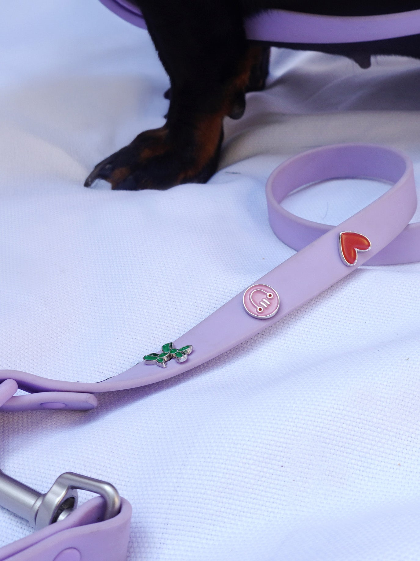 HUNDELEINE OUTDOOR WASSERFEST BLAU