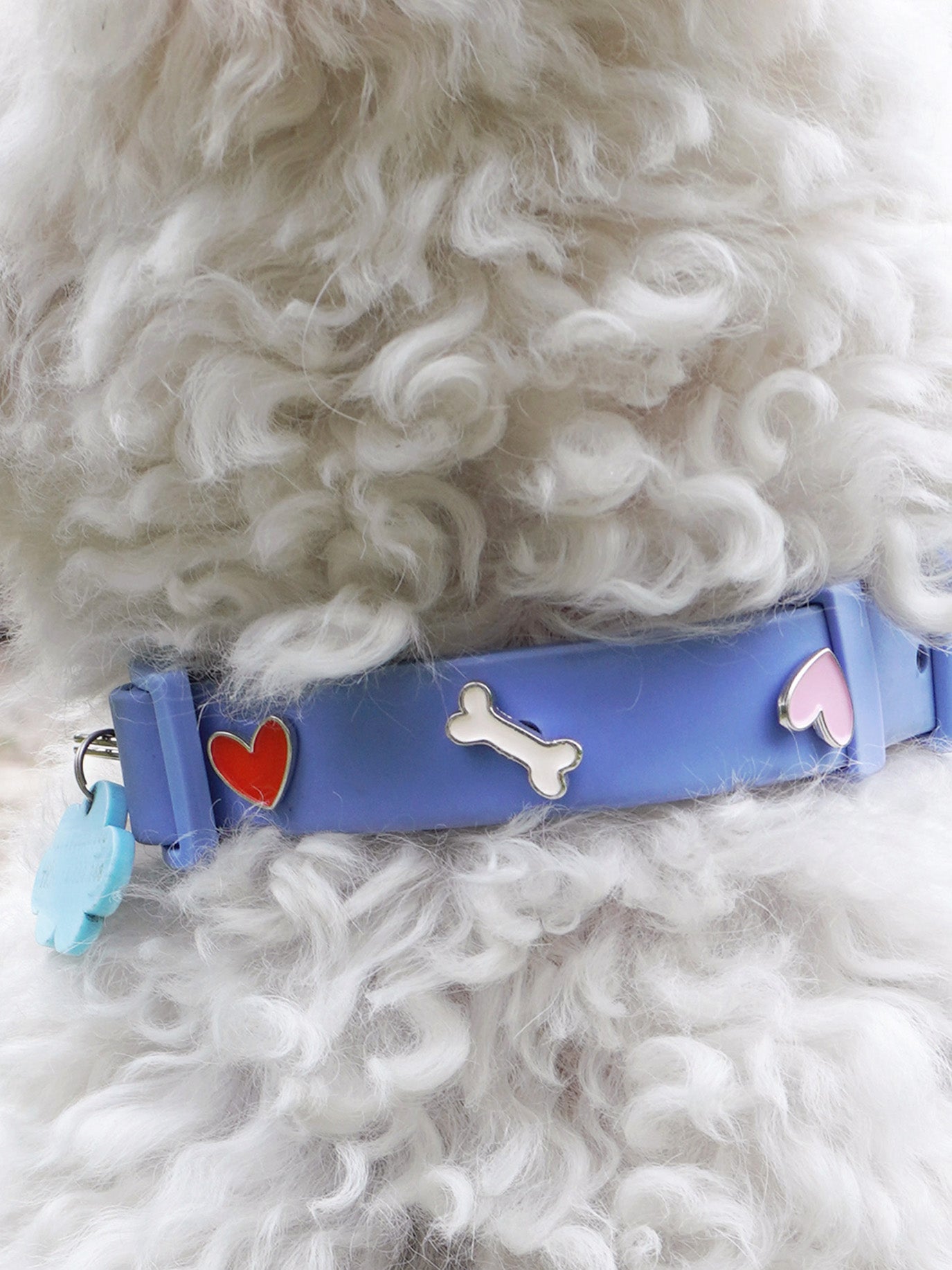 HUNDEHALSBAND ANHÄNGER HERZ