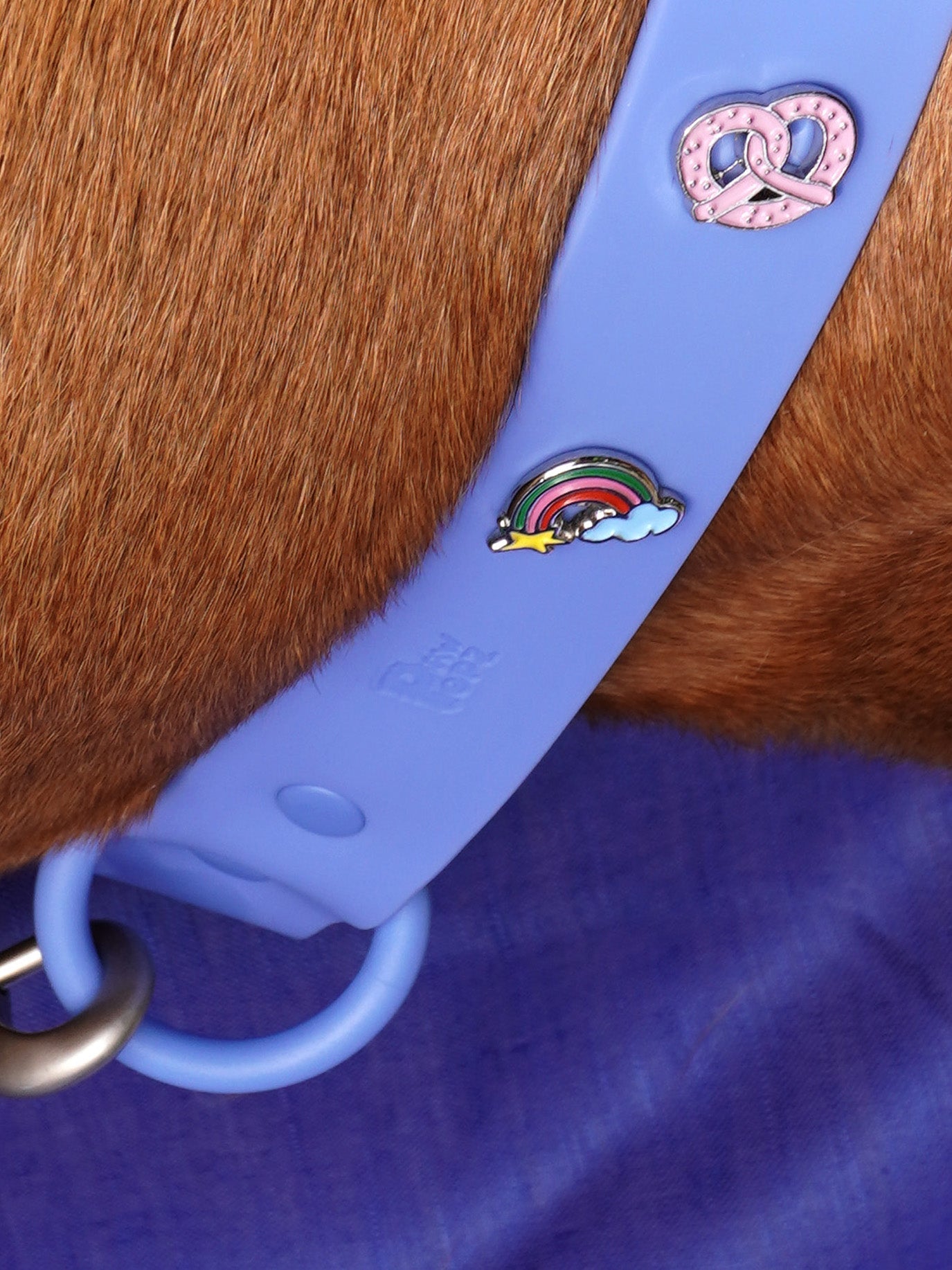 HUNDEHALSBAND ANHÄNGER BREZE