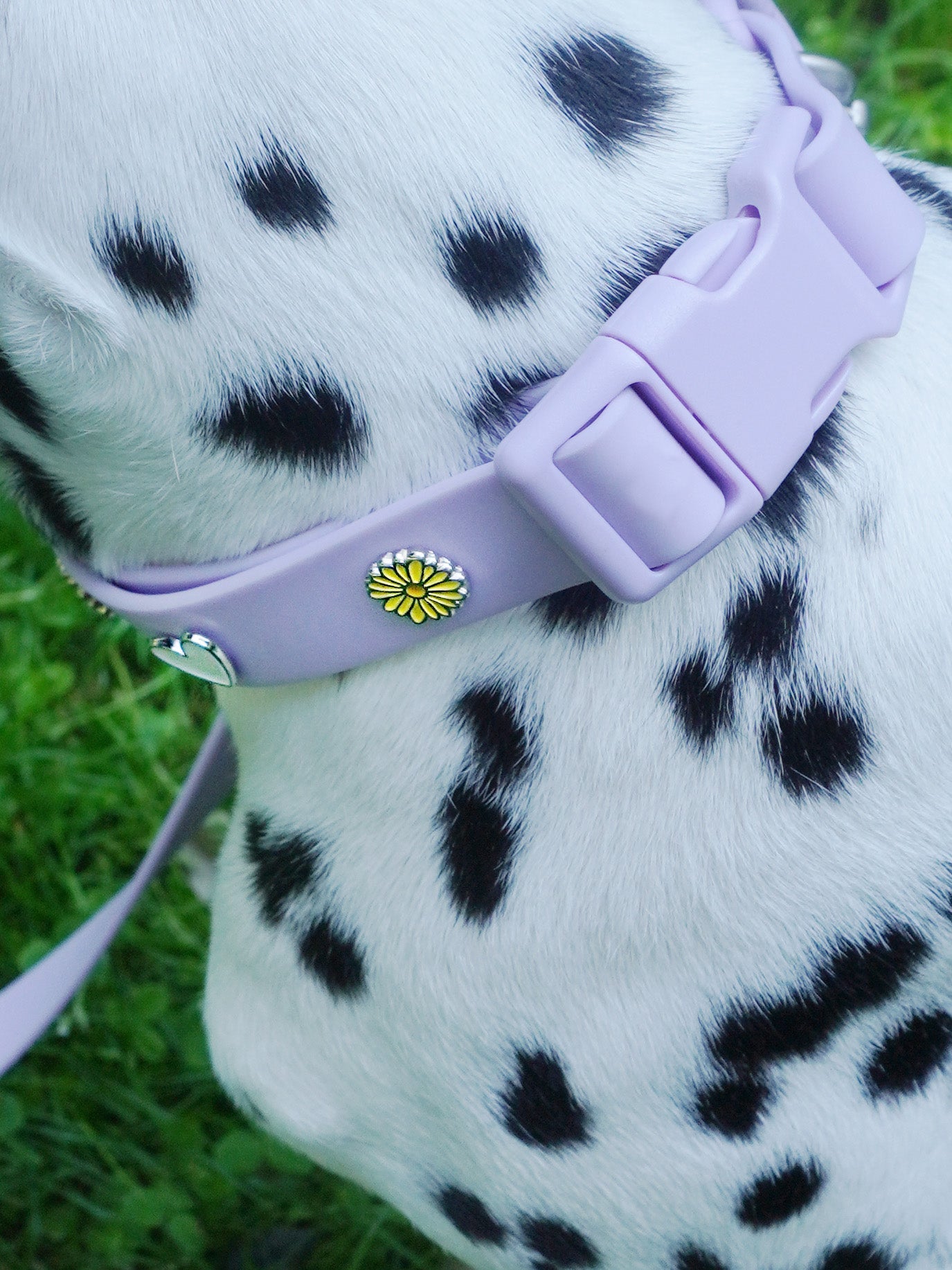 HUNDEHALSBAND ANHÄNGER BLUME