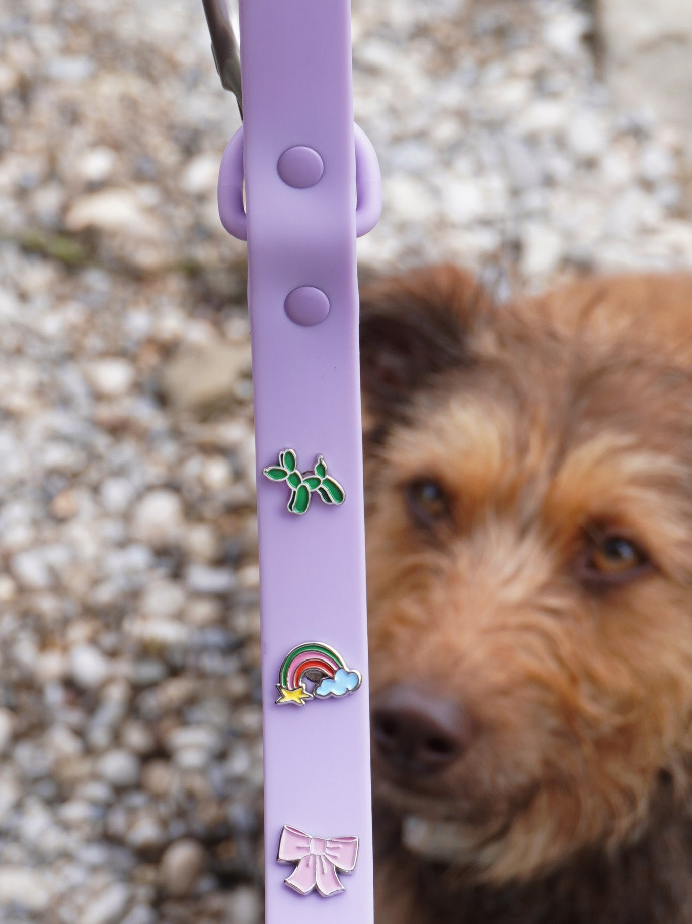 HUNDEHALSBAND ANHÄNGER REGENBOGEN