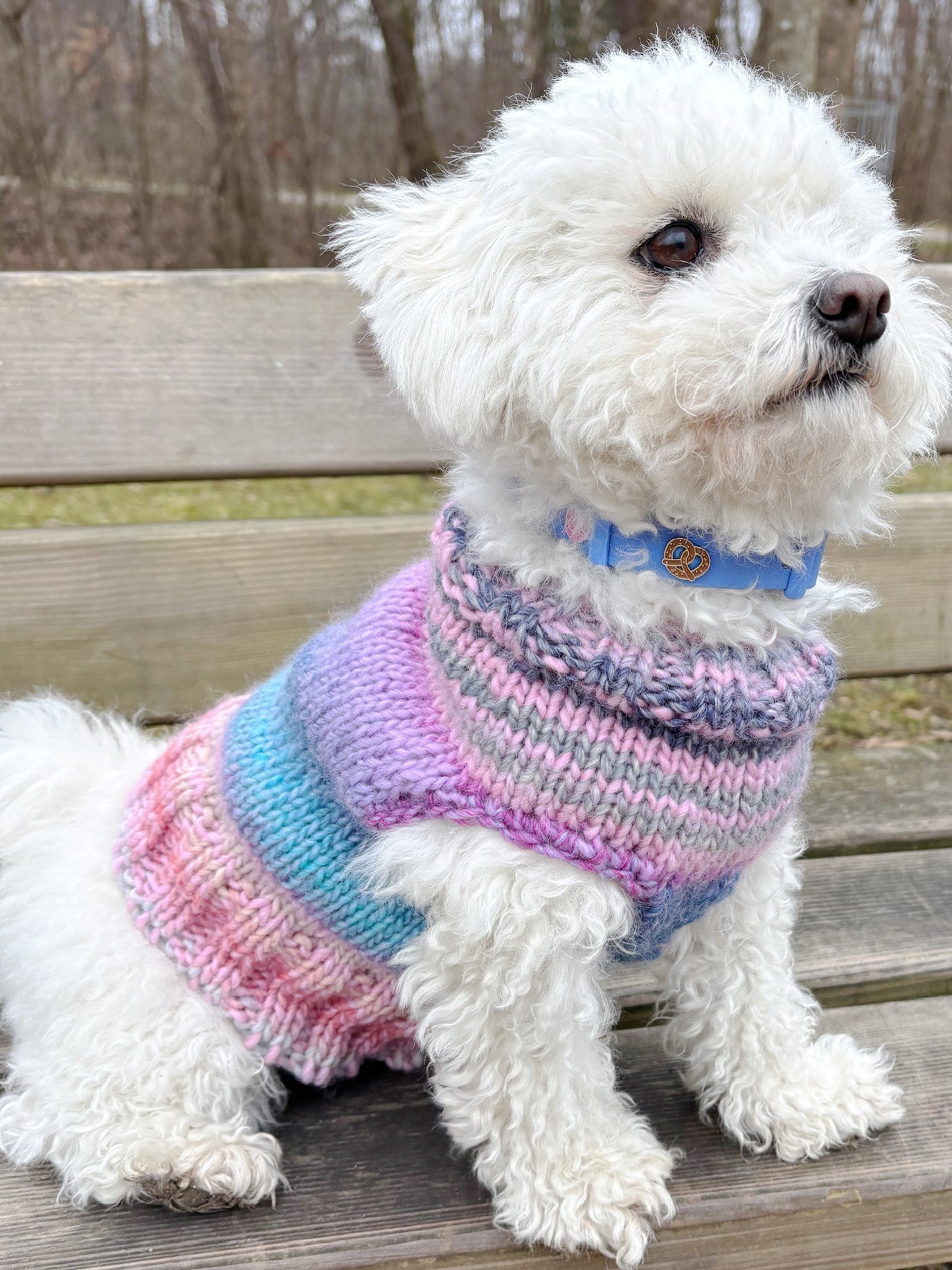 HUNDEHALSBAND ANHÄNGER BREZE