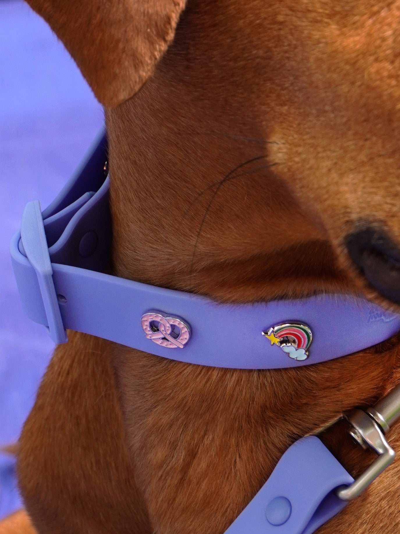 HUNDEHALSBAND ANHÄNGER REGENBOGEN