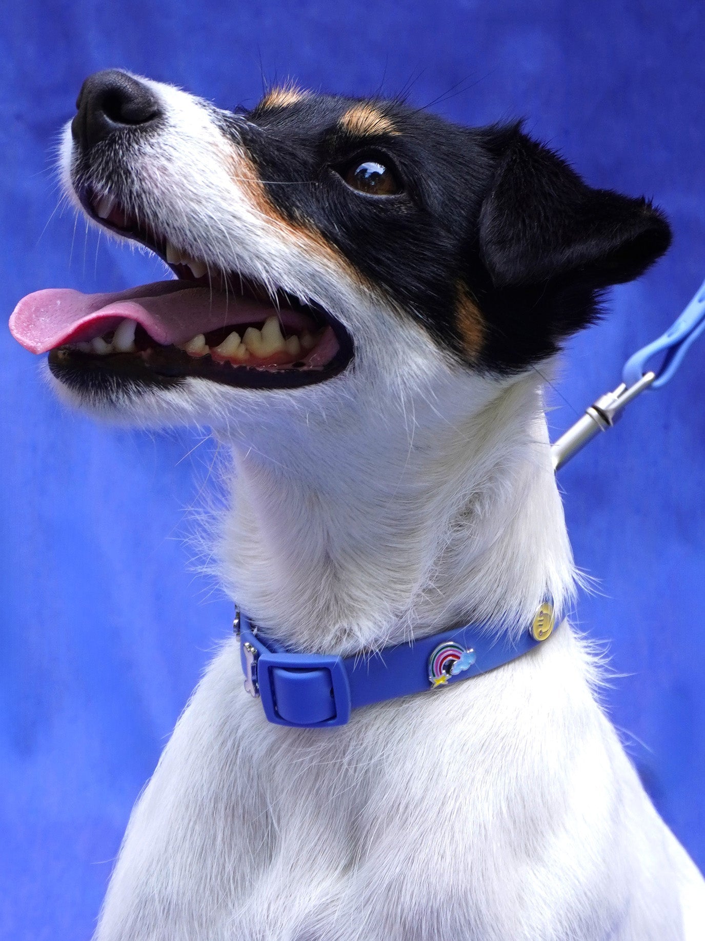 HUNDEHALSBAND ANHÄNGER REGENBOGEN
