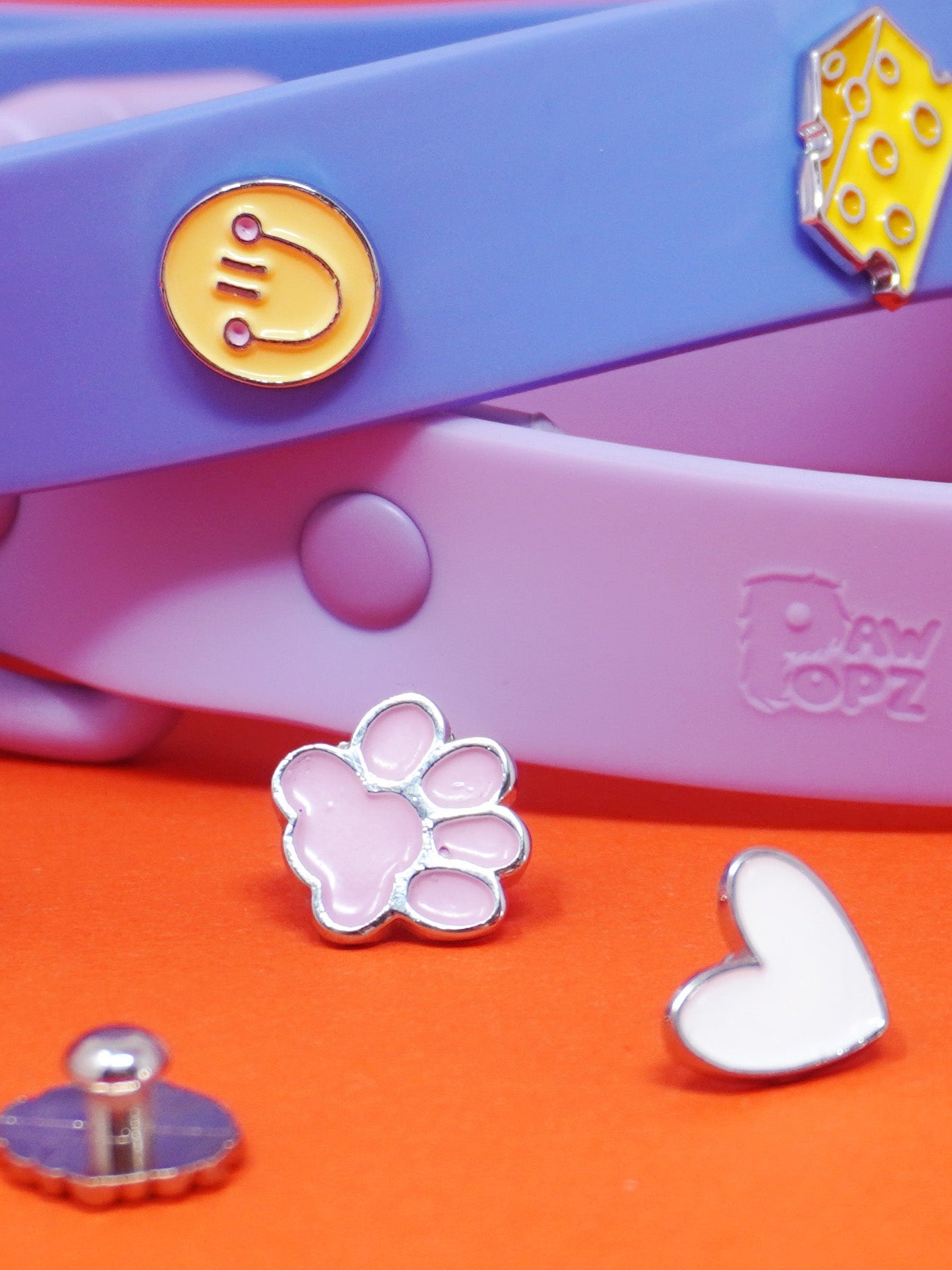 HUNDEHALSBAND ANHÄNGER PFOTE