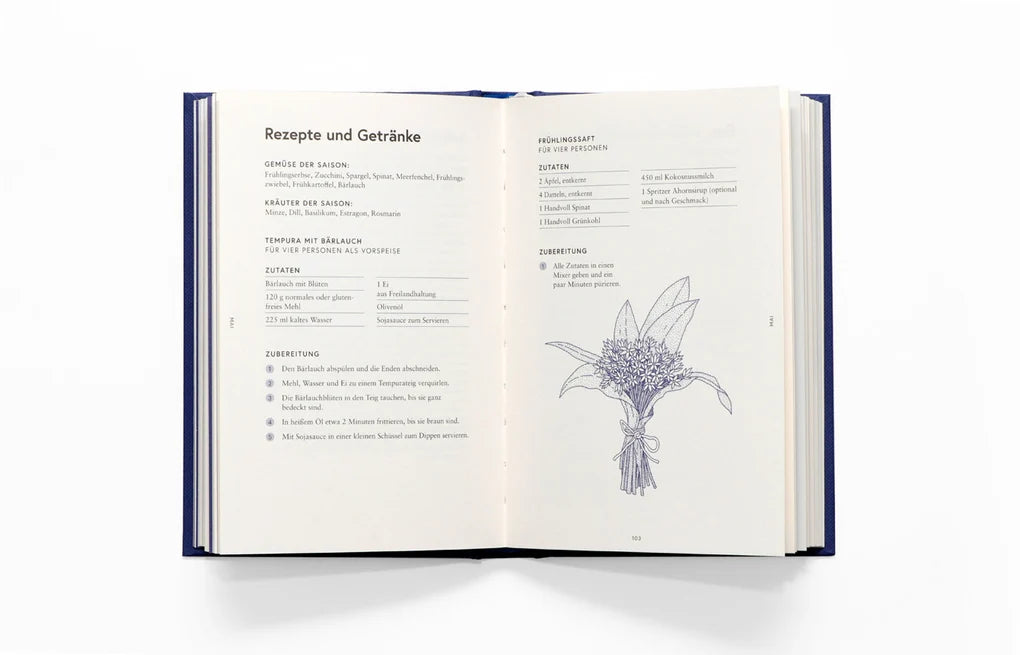BUCH MEIN SPIRITUELLER ALMANACH