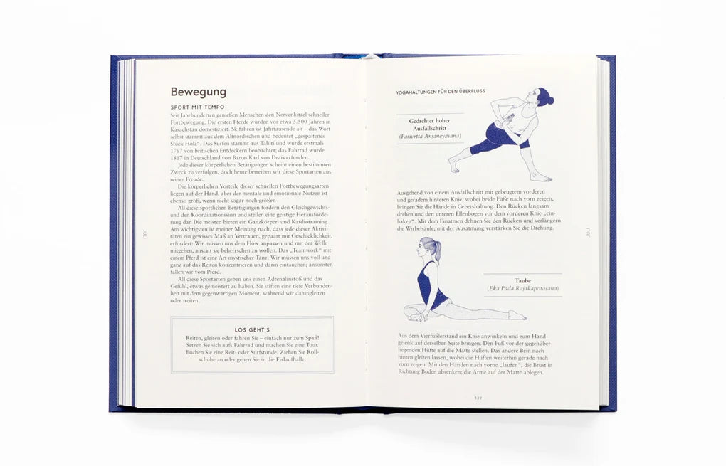 BUCH MEIN SPIRITUELLER ALMANACH