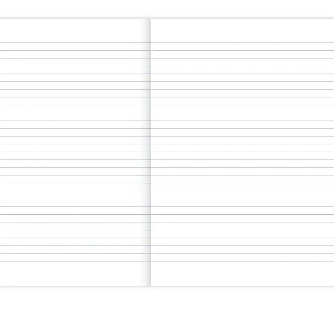 NOTIZBUCH JOURNAL LINIERT CURIOSITEAS